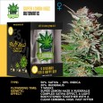IGROWCAN - Super Lemon Haze
